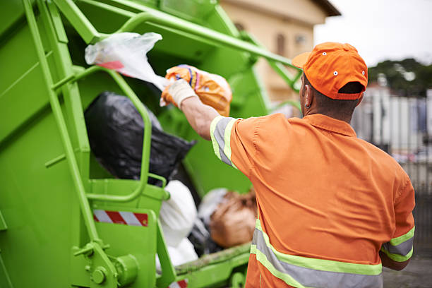 Best Yard Waste Removal  in Roseville, MI
